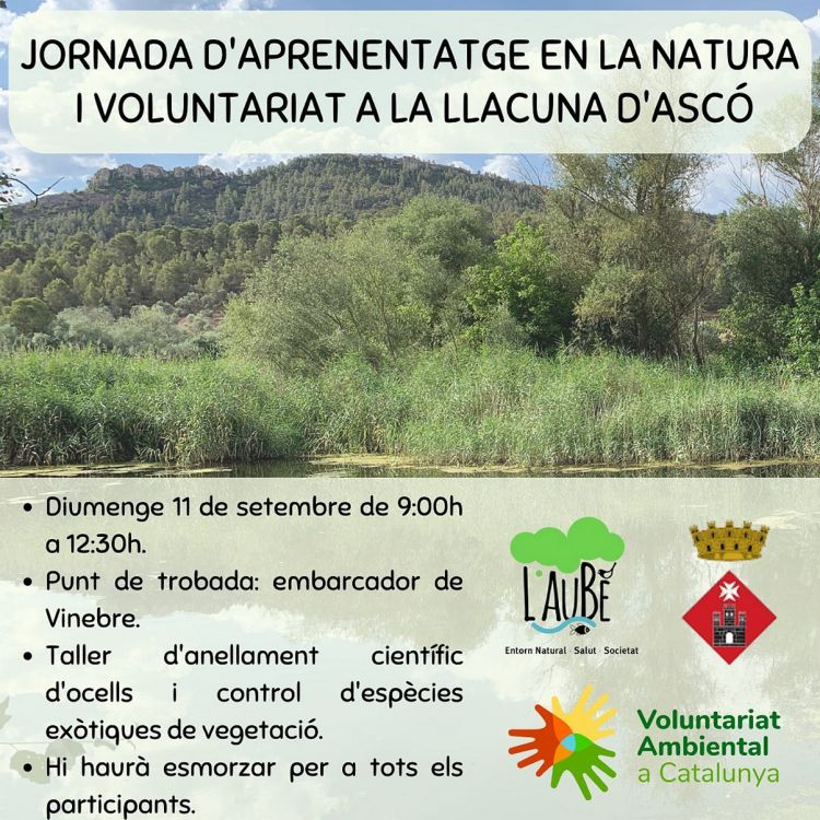 Jornada daprenentatge en la natura i voluntariat a la llacuna dAsc