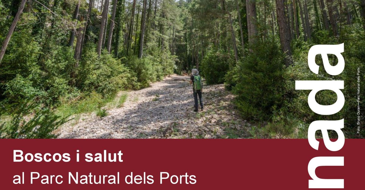 El Parc Natural dels Ports i el Departament de Salut organitzen la Jornada Boscos i Salut | EbreActiu.cat, revista digital d’oci actiu | Terres de l’Ebre ...