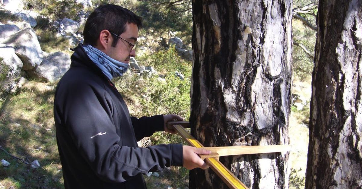 El COPATE organitza una jornada sobre lafectaci del canvi climtic als boscos ebrencs 