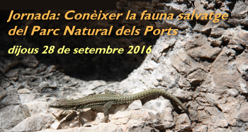 Jornada: Conixer la fauna salvatge del Parc Natural dels Ports