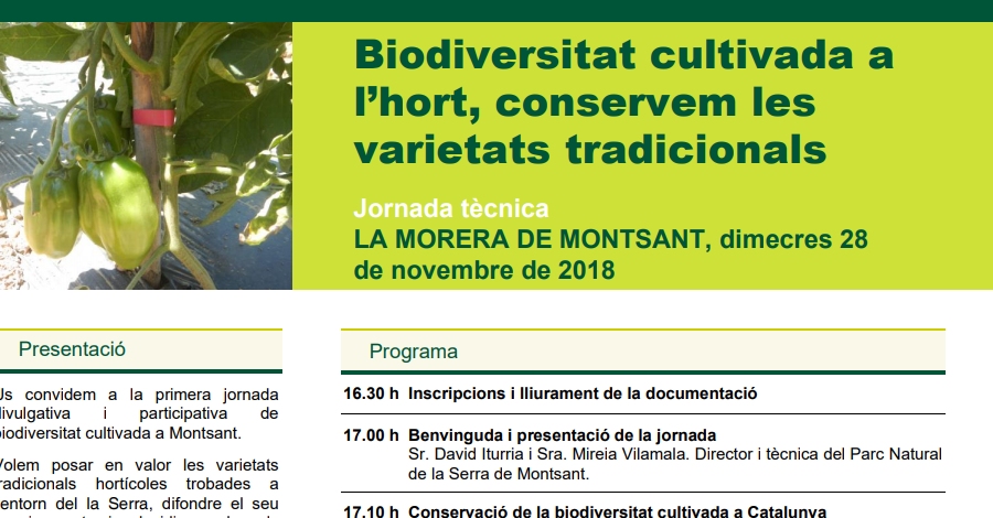 Biodiversitat cultivada a lhort, conservem les varietats tradicionals