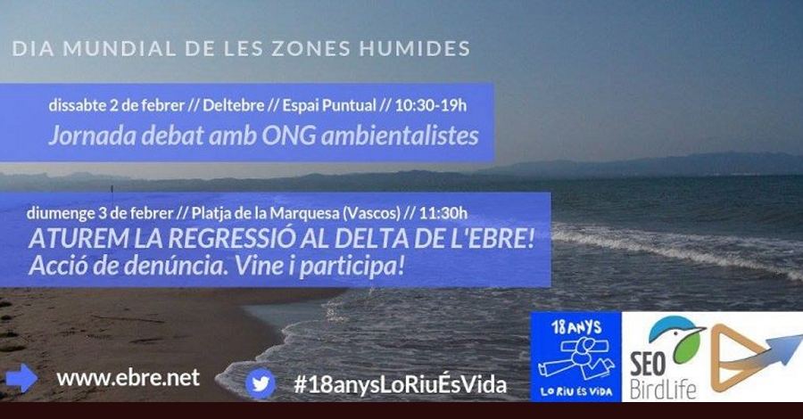 Jornada debat amb ONG ambientalistes. Dia Mundial de les Zones Humides