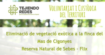 Jornada de voluntariat a la zona daiguamoll de la finca del Mas de Cigonyes