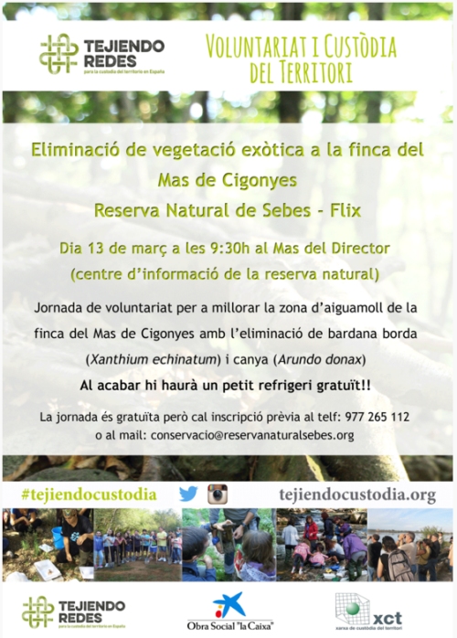 Jornada de voluntariat a la zona daiguamoll de la finca del Mas de Cigonyes