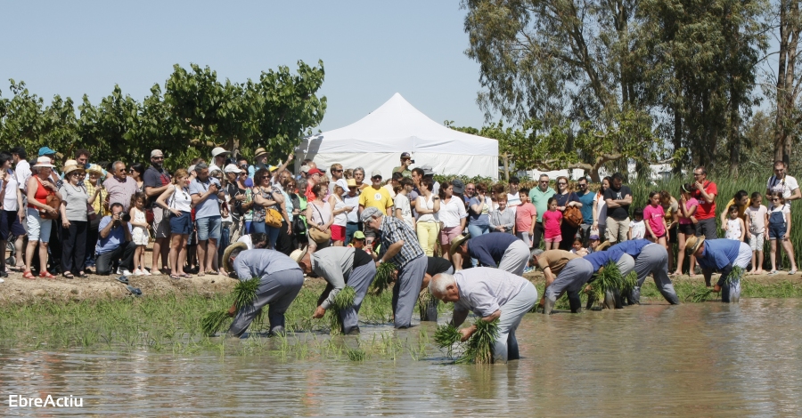 Treballa al Turisme 2020 | EbreActiu.cat, revista digital d’oci actiu | Terres de l’Ebre ...