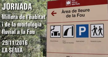 Millora de lhbitat i de la morfologia fluvial a la Fou