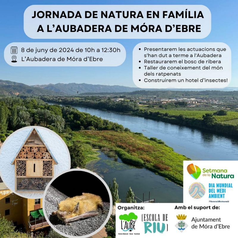 Jornada de natura en famlia a lAubadera de Mra dEbre