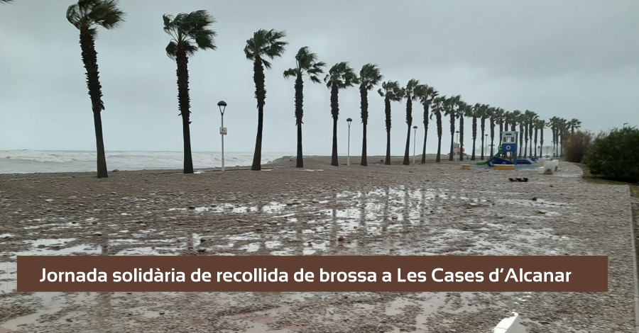 Jornada solidaria de recogida de basura a Les Cases dAlcanar 