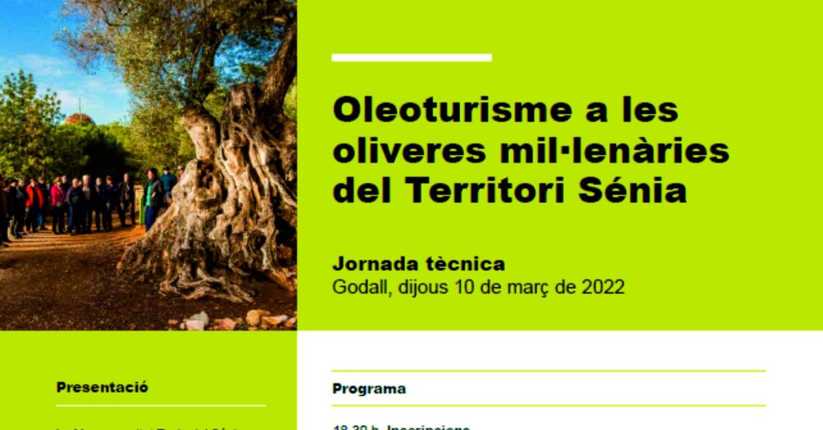 Jornada Oleoturisme a les oliveres millenries del Territori Snia