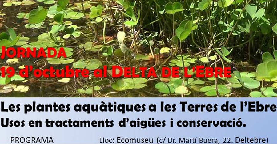 Jornada: Les plantes aqutiques a les Terres de lEbre