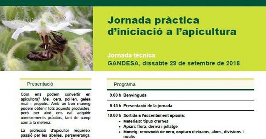 Jornada prctica diniciaci a lapicultura