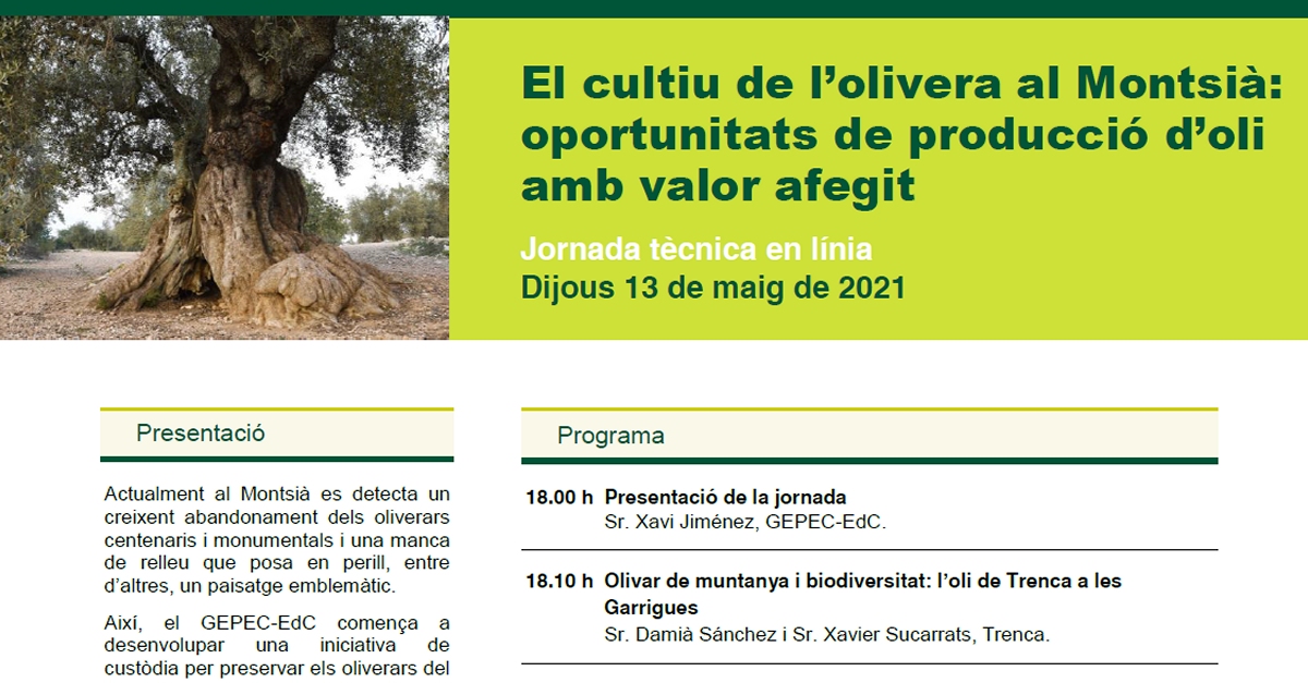 Jornada tcnica: El cultiu de lolivera al Montsi: oportunitats de producci doli amb valor afegit