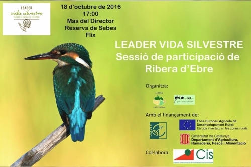 Jornada de participaci sobre turisme ornitolgic i de fauna