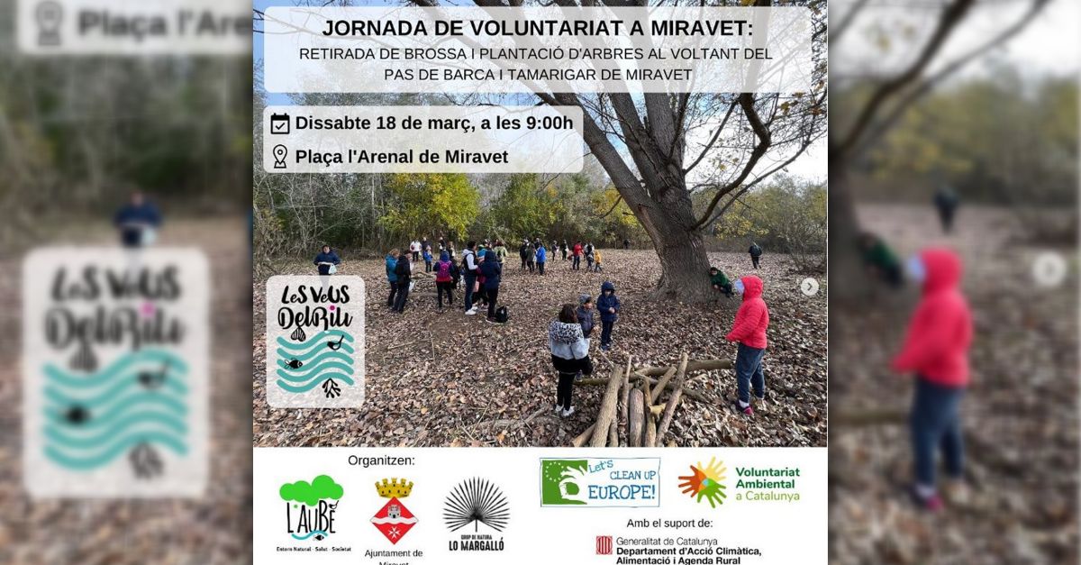 Jornada de voluntariat a Miravet: retirada de brossa i plantaci darbres