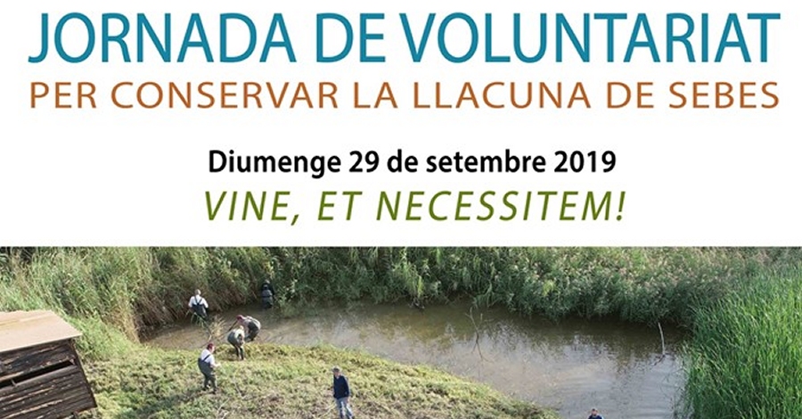 Jornada de voluntariado para conservar la laguna de Sebes