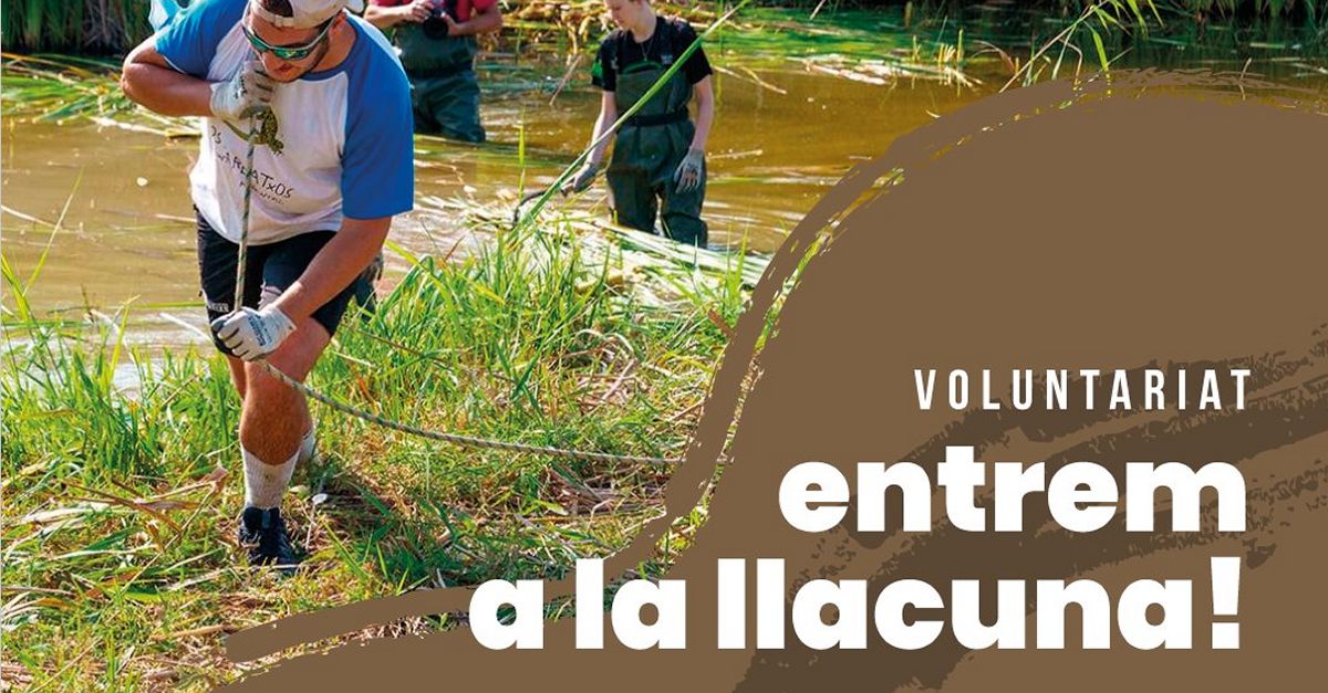 Jornada de voluntariado en la laguna de la Reserva Natural de Sebes