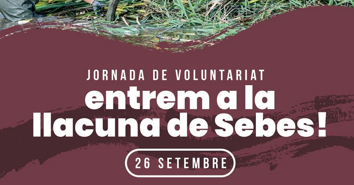 Entrem a la llacuna de Sebes. Jornada de voluntariado