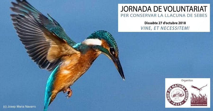 Jornada de Voluntariado Llacuna de Sebes