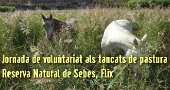 Jornada de voluntariat als tancats de pastura