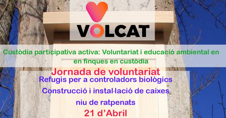 Jornada de voluntariat ambiental : Construcci i installaci de caixes niu de ratpenats