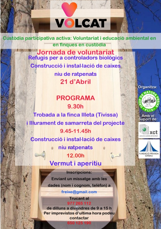 Jornada de voluntariat ambiental : Construcci i installaci de caixes niu de ratpenats