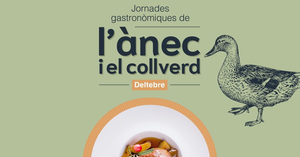 Jornades gastronmiques de lnec i el collverd