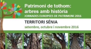 Arbres amb histria