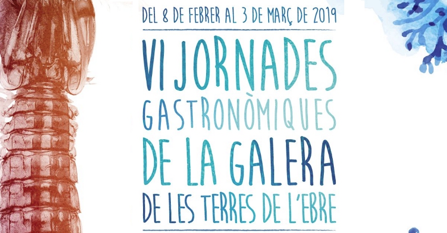 VI Jornades de la galera de les Terres de lEbre