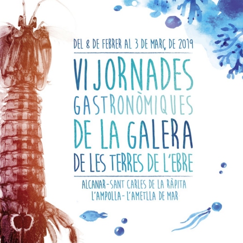 VI Jornades de la galera de les Terres de lEbre