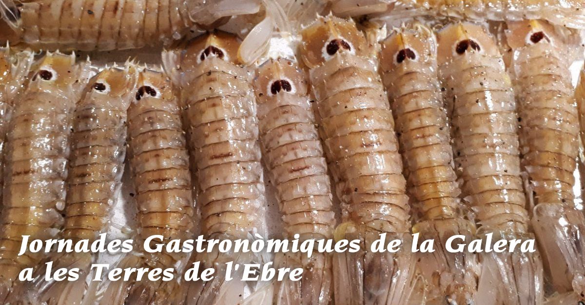 Jornades Gastronmiques de la Galera a les Terres de lEbre