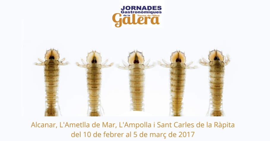 Jornades Gastronmiques de la Galera de les Terres de lEbre - Alcanar, LAmetlla de Mar, LAmpolla, Sant Carles de la Rpita