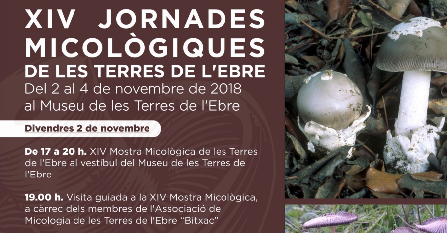 XIV Jornades Micolgiques de les Terres de lEbre