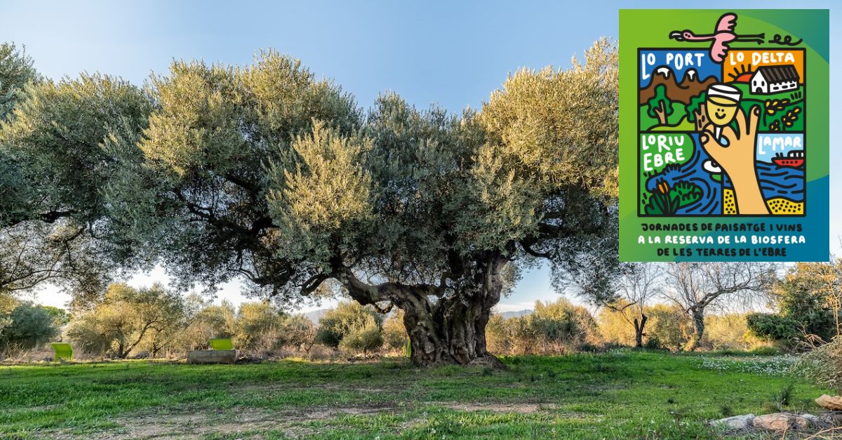 Jornades de Paisatge i Vins a la Reserva de la Biosfera