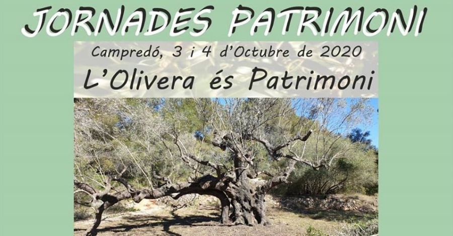 Jornadas de Patrimonio de Campred: L’olivera s patrimoni