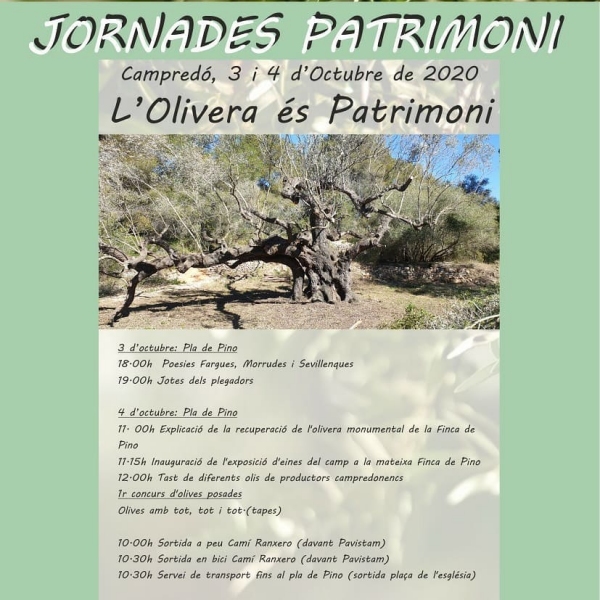 Jornades de Patrimoni de Campred: L’olivera s patrimoni