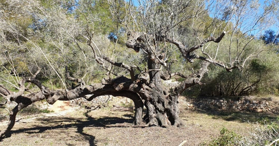 Campred ajorna les Jornades de Patrimoni | EbreActiu.cat, revista digital d’oci actiu | Terres de l’Ebre ...