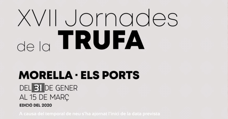 Morella presenta les XVII Jornades de la Trufa al Centre de Turisme de Castell | EbreActiu.cat, revista digital d’oci actiu | Terres de l’Ebre ...