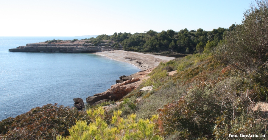 L’Ametlla de Mar lidera el rnquing de platges verges amb set distintius | EbreActiu.cat, revista digital d’oci actiu | Terres de l’Ebre ...