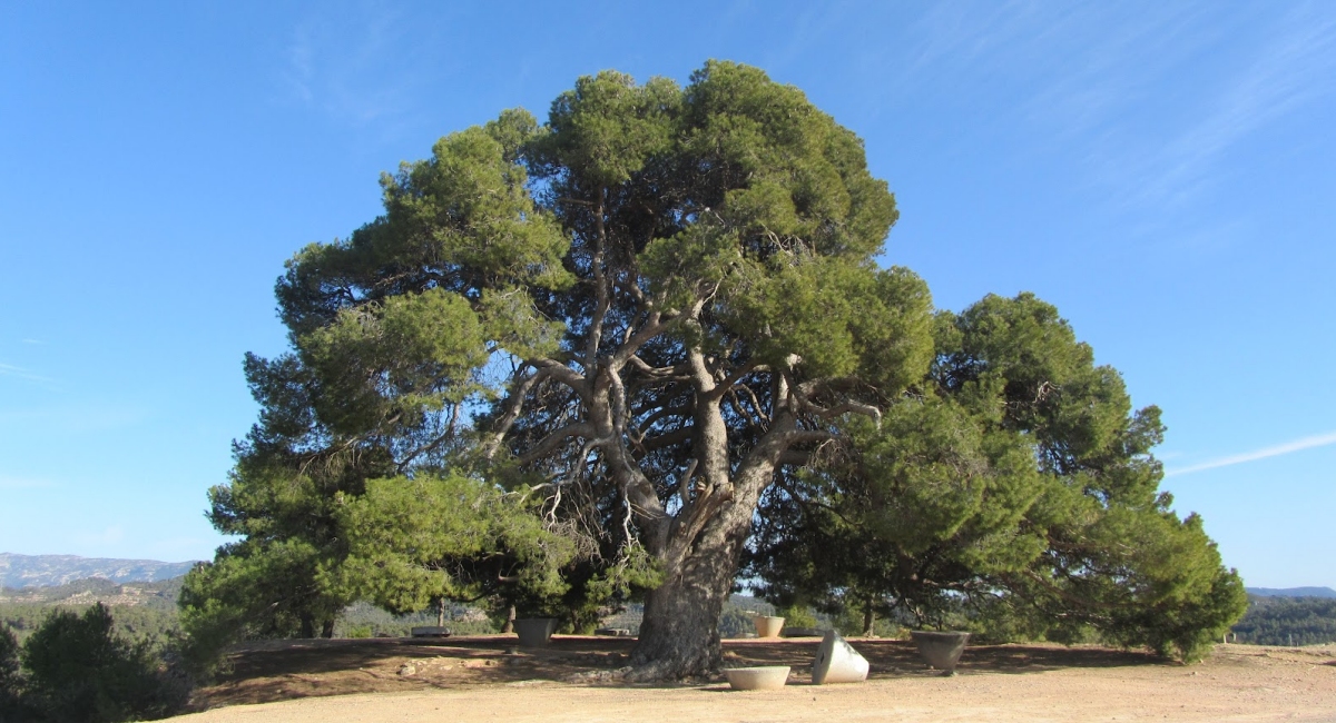 La Palma d’Ebre | EbreActiu.cat, revista digital de ocio activo | Terres de l’Ebre...