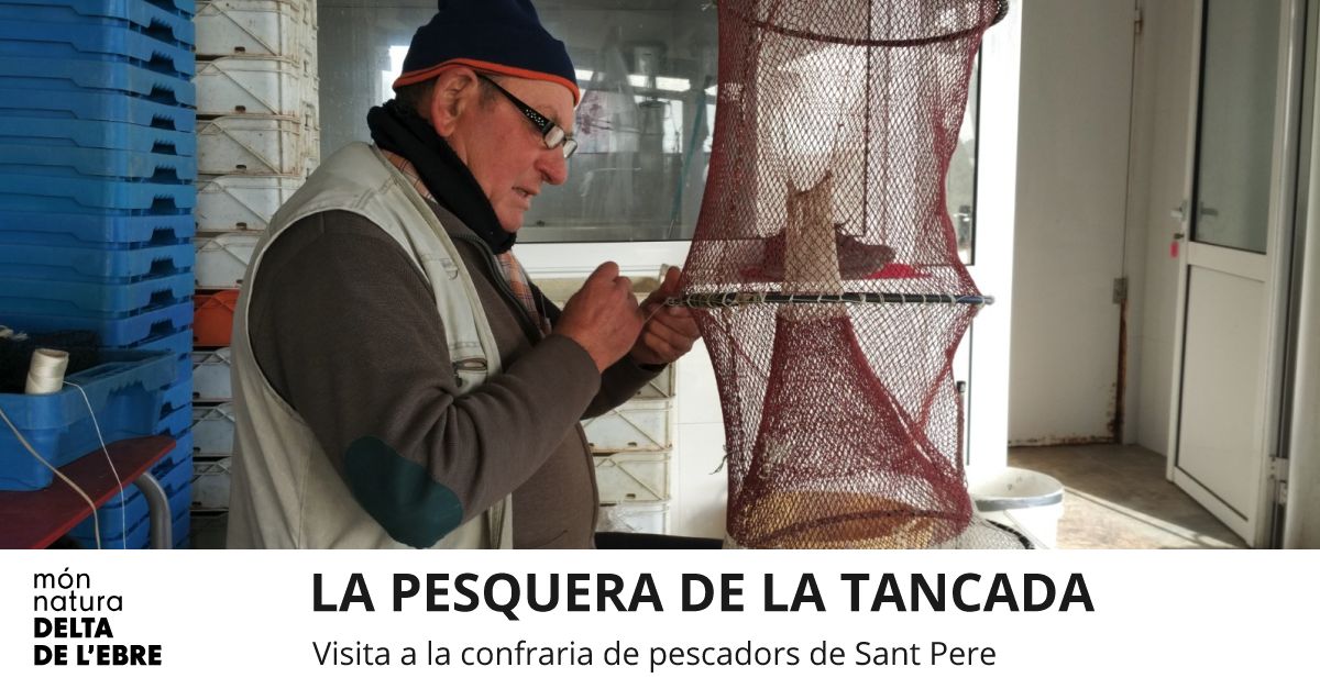 La Pesquera de la Tancada. Visita a la cofrada de pescadores de Sant Pere 