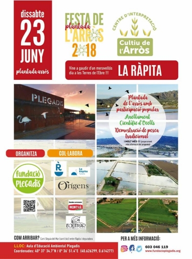 La Rpita celebra aquest dissabte la I Festa de la Plantada | EbreActiu.cat, revista digital d’oci actiu | Terres de l’Ebre ...