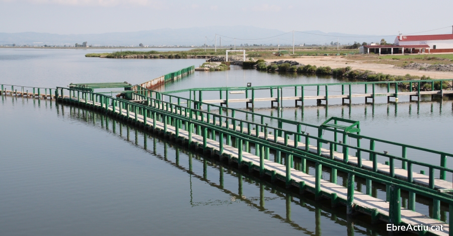 La Rpita obre al turisme una experincia singular de pesca tradicional a la pantena de l’Encanyissada | EbreActiu.cat, revista digital d’oci actiu | Terres de l’Ebre ...