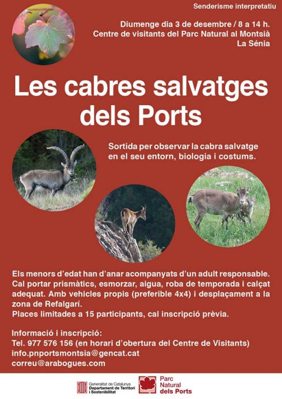 Les cabres salvatges dels Ports