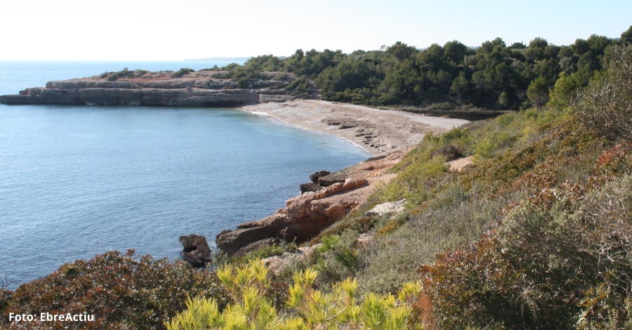 El projecte Libera apadrina els fons marins i la costa del Cap de Santes Creus | EbreActiu.cat, revista digital d’oci actiu | Terres de l’Ebre ...