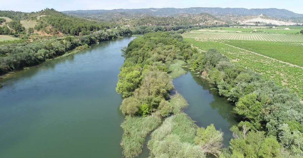 Descoberta dels valors naturals de la llacuna dAsc