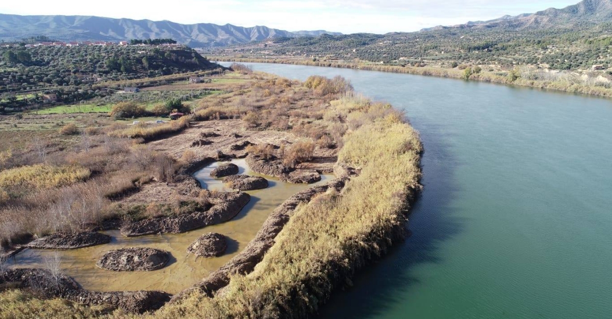 Una llacuna al meandre de Riba-roja d’Ebre millorar la diversitat d’espcies  | EbreActiu.cat, revista digital d’oci actiu | Terres de l’Ebre ...