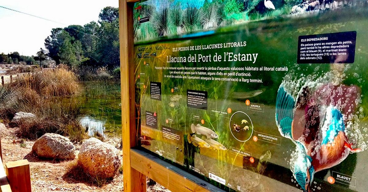 Les llacunes del litoral de l’Ametlla de Mar recuperades, del tot, del temporal Glria | EbreActiu.cat, revista digital d’oci actiu | Terres de l’Ebre ...