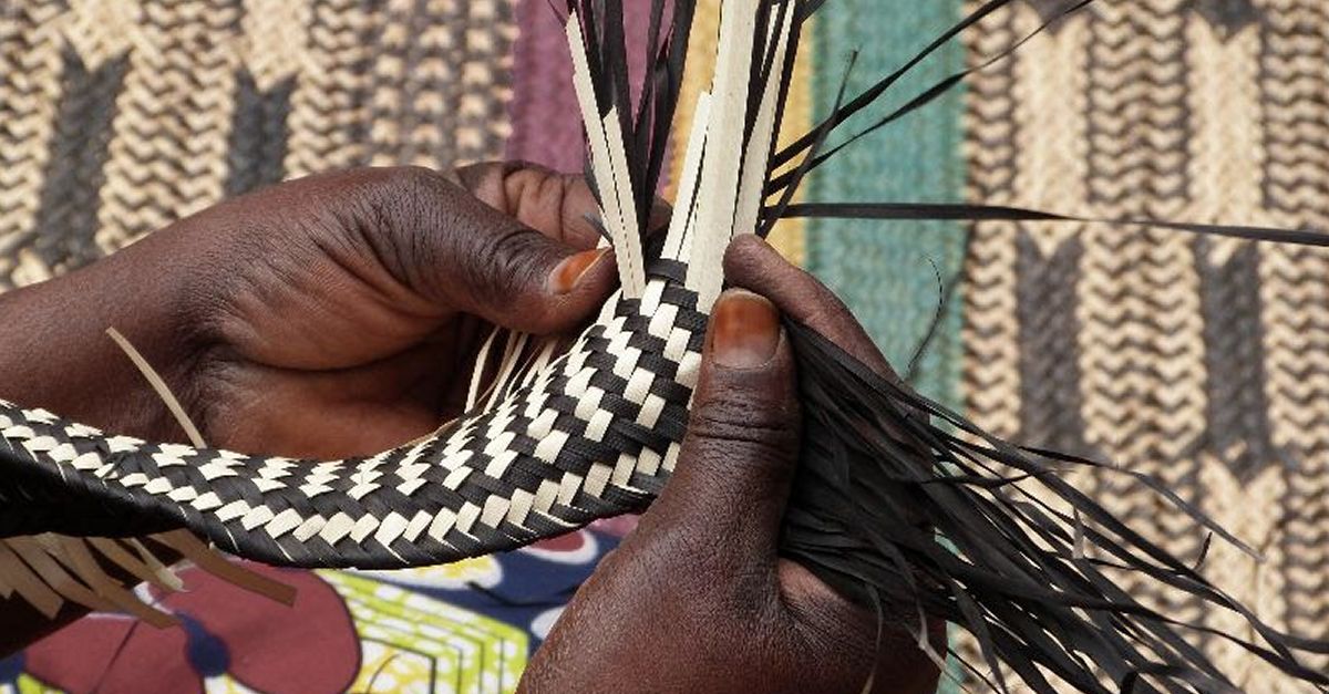 Llates emparentades, dUganda al Mas de Barberans