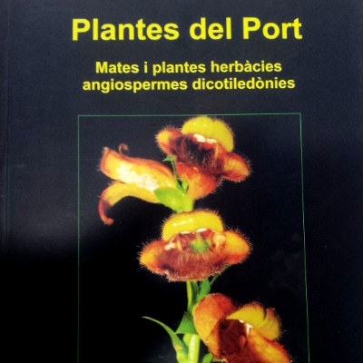 Plantes del Port II. Mates i plantes herbcies angiospermes dicotilednies