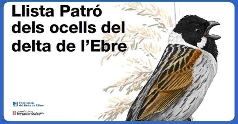 Es presenta la segona edici de la Llista Patr dels ocells del Delta de lEbre